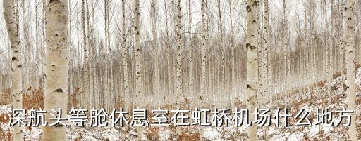 深圳76號頭等艙休息室，深航頭等艙休息室在虹橋機場什么地方