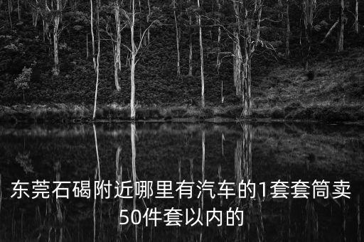 東莞石碣附近哪里有汽車的1套套筒賣50件套以內(nèi)的