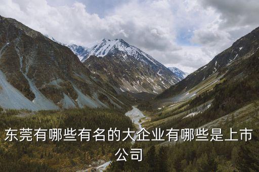 東莞產(chǎn)值超萬億的企業(yè)，東莞最大的企業(yè)是