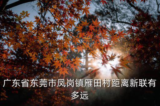 廣東省東莞市鳳崗鎮雁田村距離新聯有多遠