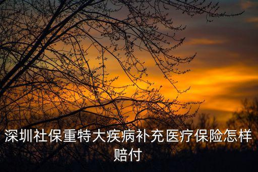 深圳人社局重特大疾病，深圳買社保有重大疾病可報(bào)銷嗎