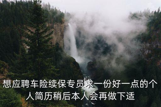 想應聘車險續保專員求一份好一點的個人簡歷稍后本人會再做下適