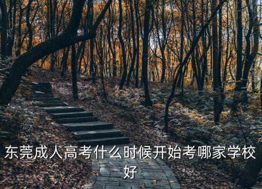 東莞大學成人高考報考時間，成人高考幾月份報名