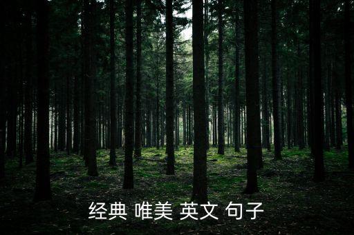 經典 唯美 英文 句子