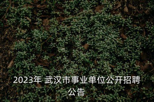 2023年 武漢市事業單位公開招聘公告