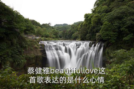 蔡健雅beautifullove這首歌表達(dá)的是什么心情