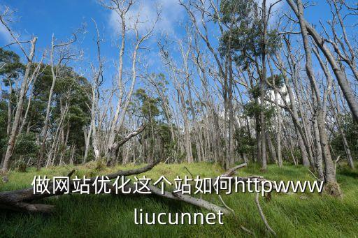 東莞電子網站優化地址，網奇科技是東莞最專業的網站優化公司嗎