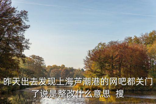 上海市的網(wǎng)吧怎么了，昨天出去發(fā)現(xiàn)上海蘆潮港的網(wǎng)吧都關(guān)門了說是整改什么意思  搜