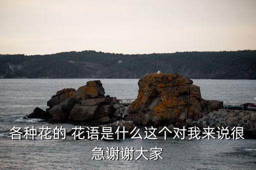 雞蛋花花語