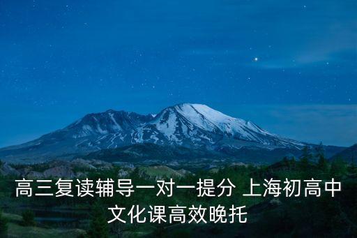 高三復讀輔導一對一提分 上海初高中文化課高效晚托