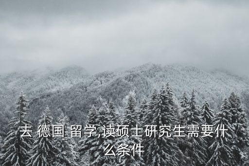 德國留學申請,高中生德國留學申請