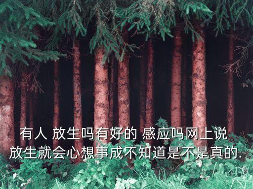 有人 放生嗎有好的 感應(yīng)嗎網(wǎng)上說 放生就會心想事成不知道是不是真的...