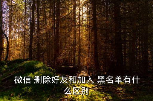 微信加入黑名單和刪除有什么區別,如何進入微信黑名單?