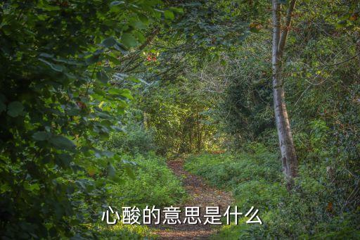 心酸歌詞,我曾擁有你想到就心酸這首歌是什么歌?