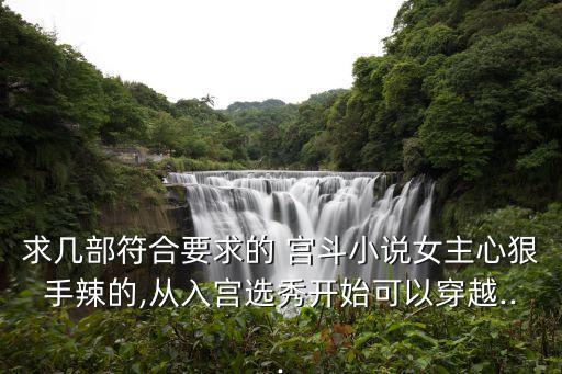 求幾部符合要求的 宮斗小說女主心狠手辣的,從入宮選秀開始可以穿越...