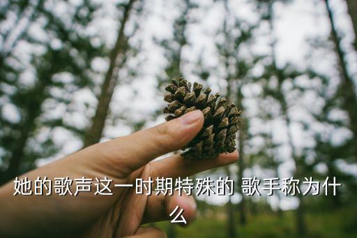 她的歌聲這一時期特殊的 歌手稱為什么