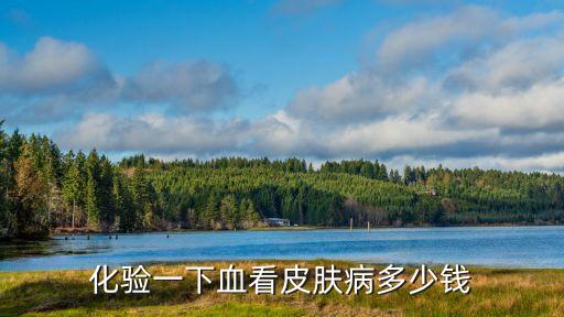 深圳皮膚科驗(yàn)血大概要多少錢(qián)，化驗(yàn)一下血看皮膚病多少錢(qián)