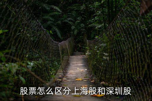 股票怎么區分上海股和深圳股