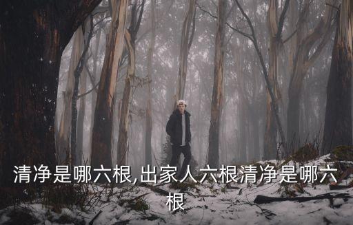 六根清凈是哪六根,出家人六根清凈是哪六根