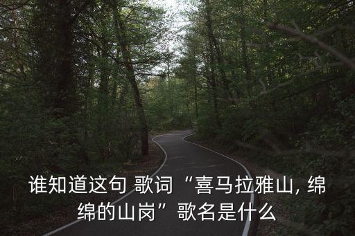 綿綿歌詞,張學(xué)友舊情綿綿歌詞