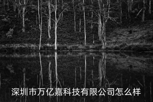 深圳萬億集團(tuán)吳德盛，誰知道深圳市江盟磁性科技有限公司的財務(wù)是誰