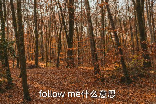 深圳followme，F(xiàn)ollow me是什么意思及反義詞