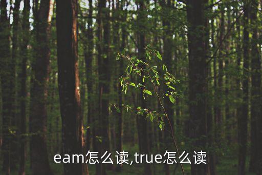 dream怎么讀,true怎么讀