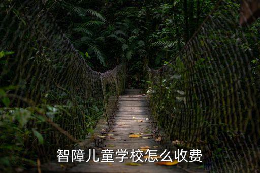 上海市盲童學校如何收費，上海東方小熒星幼兒園的學費多少