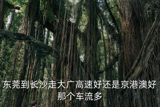東莞到長沙走許廣高速可以嗎，明天從東莞去長沙走那條高速公路最暢通