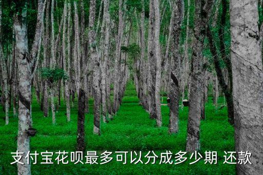 支付寶花唄最多可以分成多少期 還款