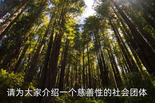 請為大家介紹一個(gè)慈善性的社會團(tuán)體