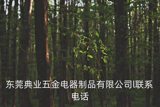東莞典業(yè)五金電器制品有限公司l聯(lián)系電話