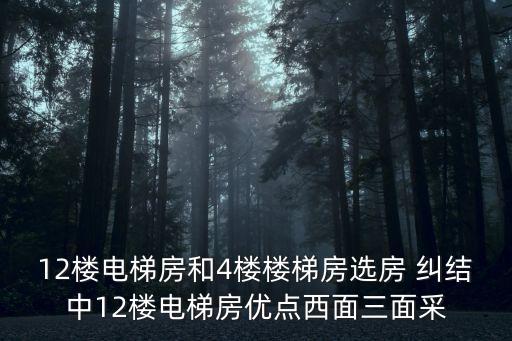 上海市區江景電梯房，有兩套樓房一套是120平電梯房他是九樓頂房一套是90平的步梯