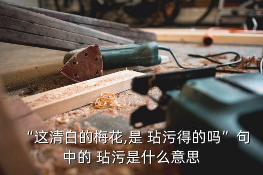 玷污,玷污這個詞意味著什么?