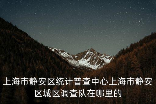 上海市靜安區(qū)統(tǒng)計(jì)普查中心上海市靜安區(qū)城區(qū)調(diào)查隊(duì)在哪里的