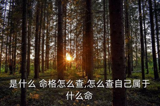 是什么 命格怎么查,怎么查自己屬于什么命