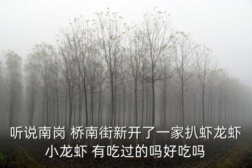 聽說南崗 橋南街新開了一家扒蝦龍蝦小龍蝦 有吃過的嗎好吃嗎