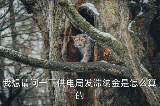 我想請問一下供電局發滯納金是怎么算的