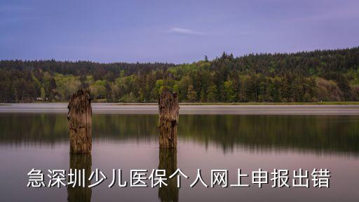 深圳自助申報不通過，深圳國稅普通發票在線月申報時系統提示申報信息解密失敗請問