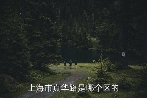 上海市物華路什么區，上海虹口區物華路這個地方軌交哪里下比較近什么路口出