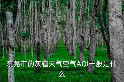 東莞市重污染天氣預警，東莞市灰霾天氣空氣指數是多少