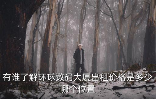 深圳市環(huán)球數(shù)據(jù)中心，深圳環(huán)球雅思地址在哪兒