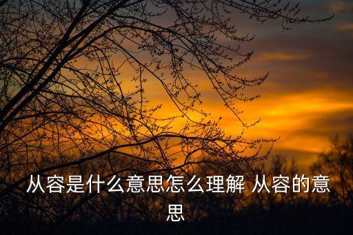 從容的意思,第二集:從容淡定