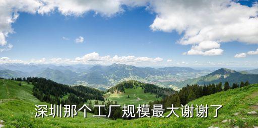 深圳那個工廠規模最大謝謝了