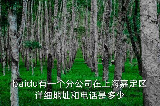 baidu有一個分公司在上海嘉定區詳細地址和電話是多少