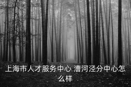 上海市人才服務(wù)中心 漕河涇分中心怎么樣