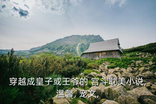 宮斗寵文,女主攜系統(tǒng)宮斗寵文1爭(zhēng)寵穿越成不受寵妃?