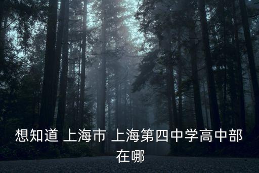 想知道 上海市 上海第四中學(xué)高中部 在哪