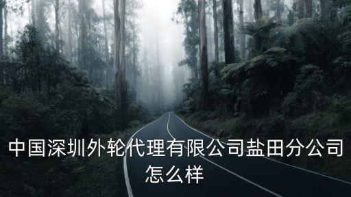 中國深圳外輪代理有限公司鹽田分公司怎么樣