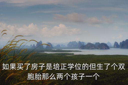 深圳學(xué)位房鎖定二胎，如果買了房子是培正學(xué)位的但生了個雙胞胎那么兩個孩子一個